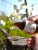 Gemini_Generated_Image_l0sth4l0sth4l0st.png